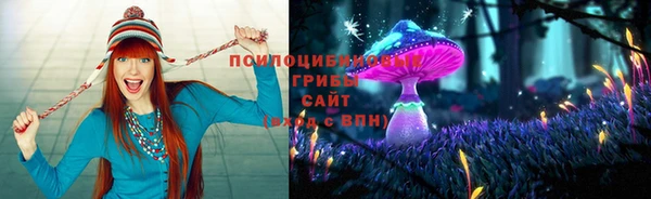 гашиш Осинники