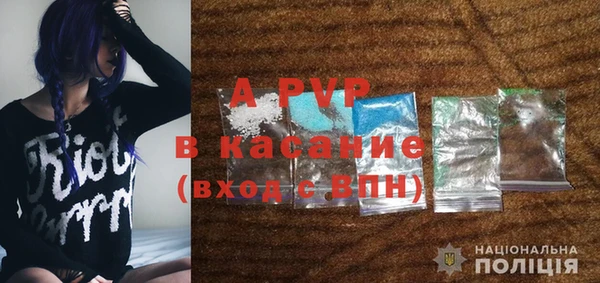 ПСИЛОЦИБИНОВЫЕ ГРИБЫ Осташков
