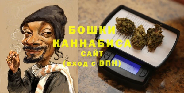 ПСИЛОЦИБИНОВЫЕ ГРИБЫ Осташков