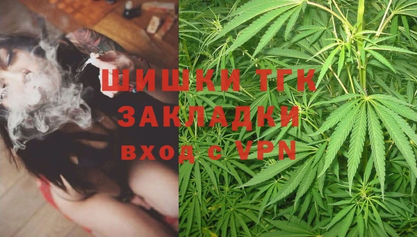 ПСИЛОЦИБИНОВЫЕ ГРИБЫ Осташков