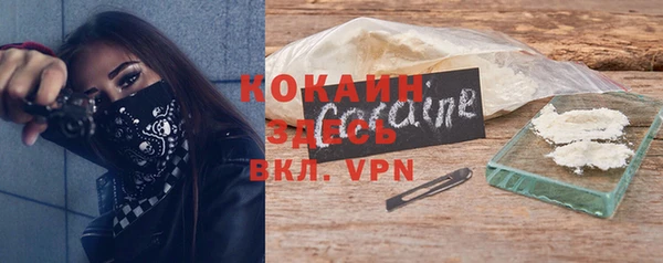 ПСИЛОЦИБИНОВЫЕ ГРИБЫ Осташков