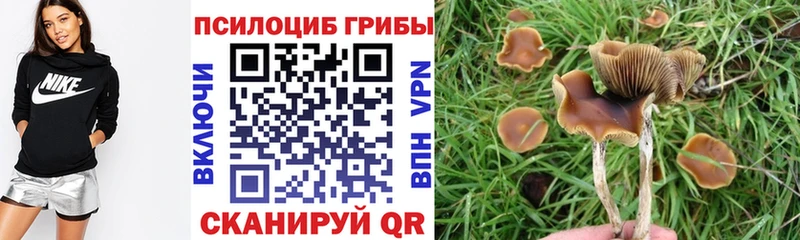 Псилоцибиновые грибы Magic Shrooms  ОМГ ОМГ сайт  Руза  купить наркотик 